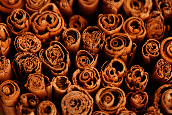 Cinnamon Bark (Cinnamomum zeylanicum) Organic Essential Oil